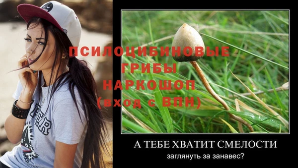 амф Аркадак