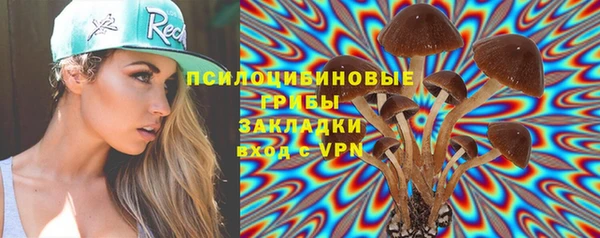 амф Аркадак