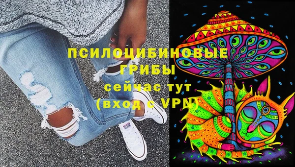 амф Аркадак