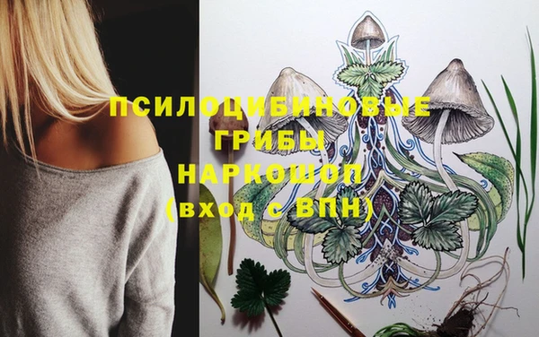 ALPHA PVP Армянск
