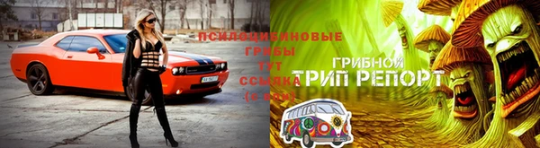 амф Аркадак