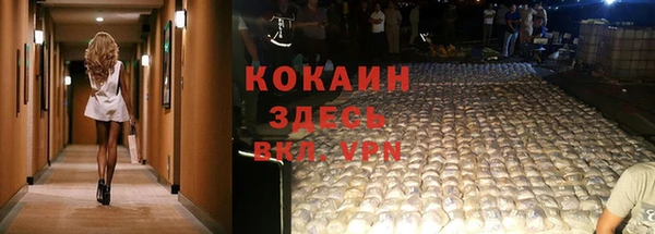 амф Аркадак