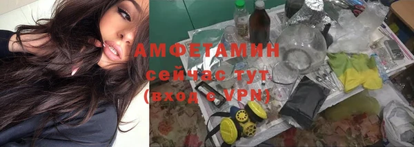 амф Аркадак