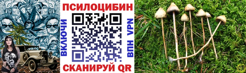 Псилоцибиновые грибы мухоморы  наркота  Протвино 